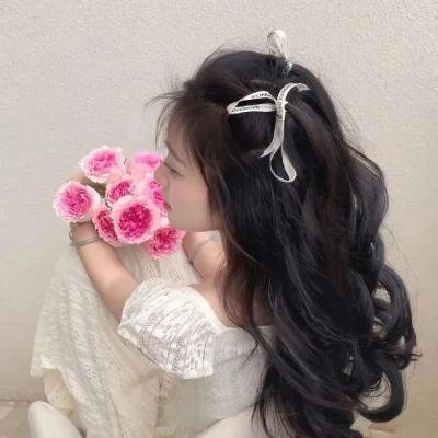 权少的贴身翻译官